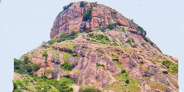 tamil news, tamil news paper, tamil newspaper, tamil evening news paper