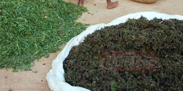 tamil news, tamil news paper, tamil newspaper, tamil evening news paper