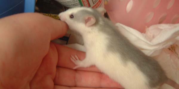 tamil news, tamil news paper, tamil newspaper, tamil evening news paper