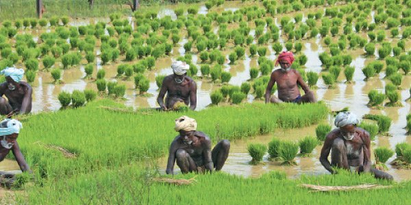 tamil news, tamil news paper, tamil newspaper, tamil evening news paper