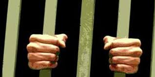 tamil news, tamil news paper, tamil newspaper, tamil evening news paper