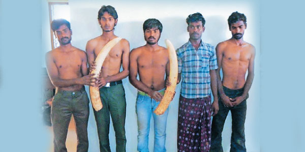 tamil news, tamil news paper, tamil newspaper, tamil evening news paper